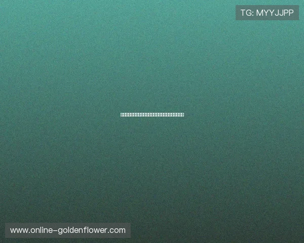 小小加索尔带领球队征战赛场展现非凡篮球才华与领导力