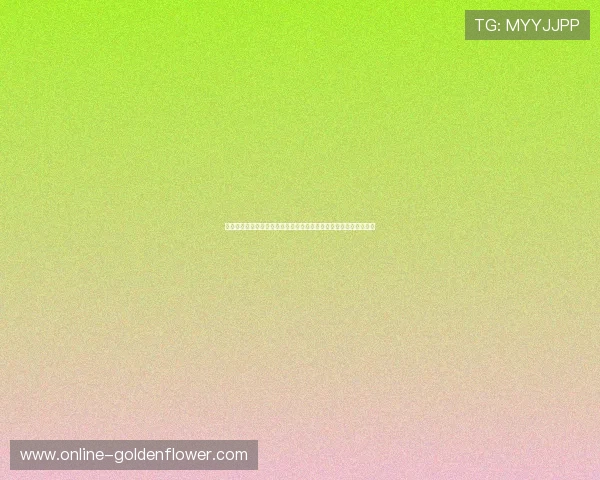 季后赛规则创新与发展探讨：如何通过调整赛制提升竞争性与观赏性